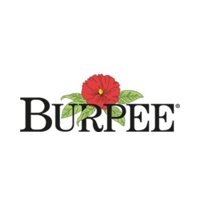 Burpee-Code-Discountinprice.com